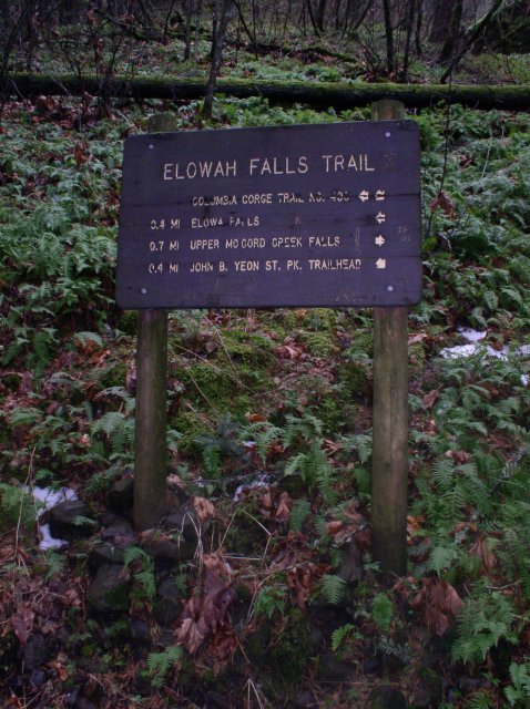 12.23.05 Elowah Falls 013 